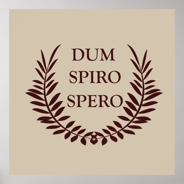 Dum spiro spero poster (Framsidan)