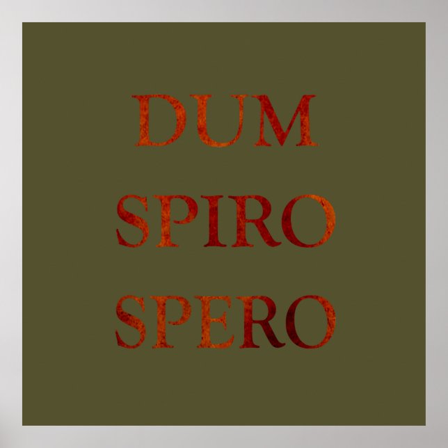 dum spiro spero poster (Framsidan)