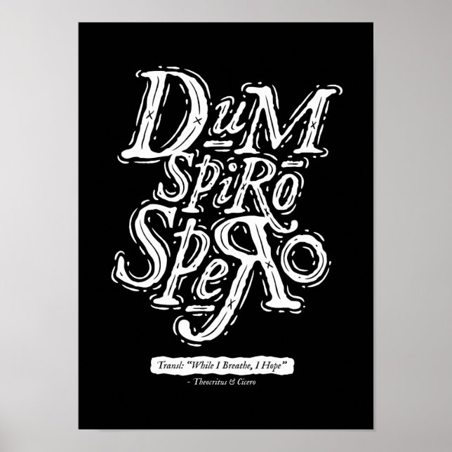Dum Spiro Spero - Poster - Svart (Framsidan)