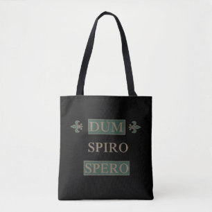 Dum spiro spero tygkasse