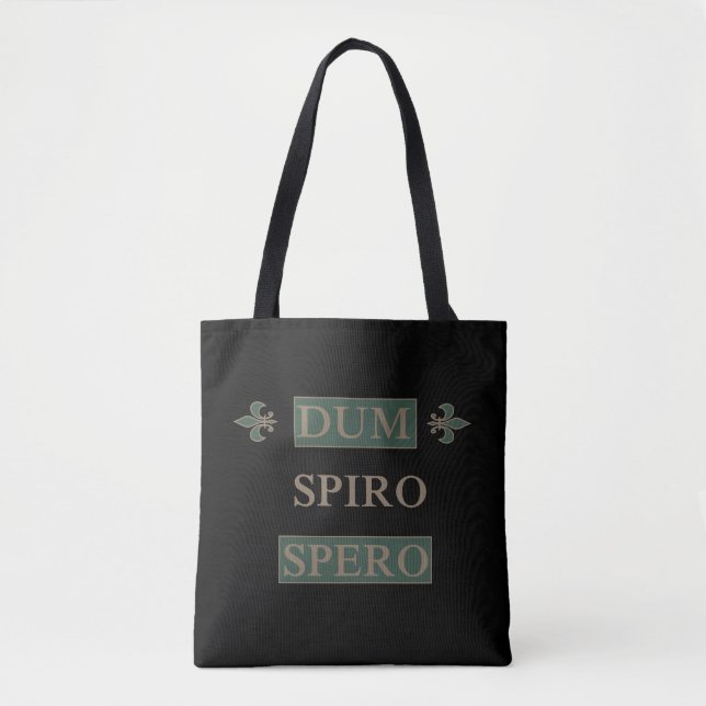 Dum spiro spero tygkasse (Framsida)