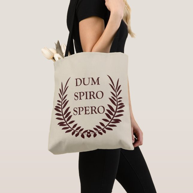Dum spiro spero tygkasse (Närbild)