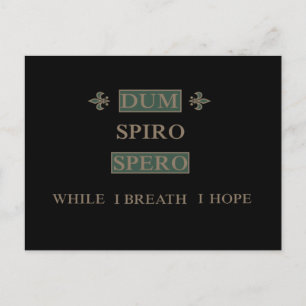Dum spiro spero vykort