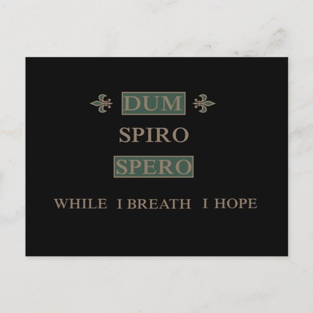 Dum spiro spero vykort (Framsida)