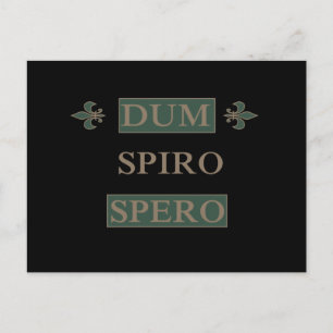 Dum spiro spero vykort
