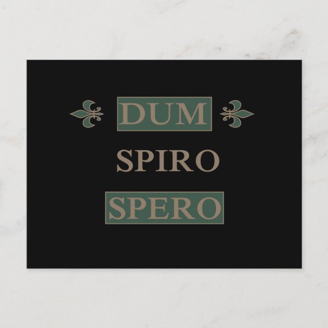 Dum spiro spero vykort (Framsida)