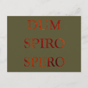 Dum spiro spero vykort