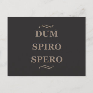 Dum spiro spero vykort