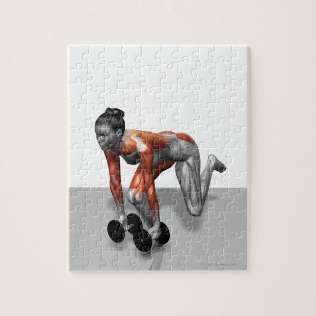 Dumbbell Single Leg Deadlift Pussel (Vertikal)