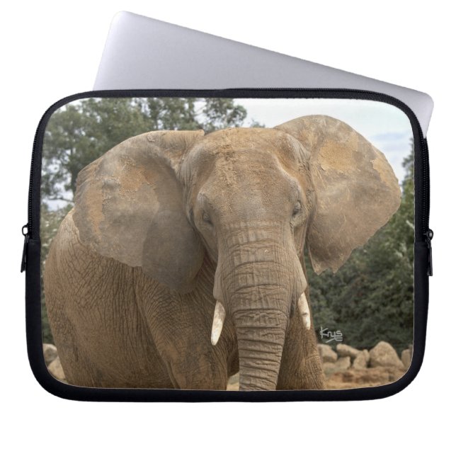 Dumbo Electronics Laptoppskydd Laptop Sleeve (Framsidan)
