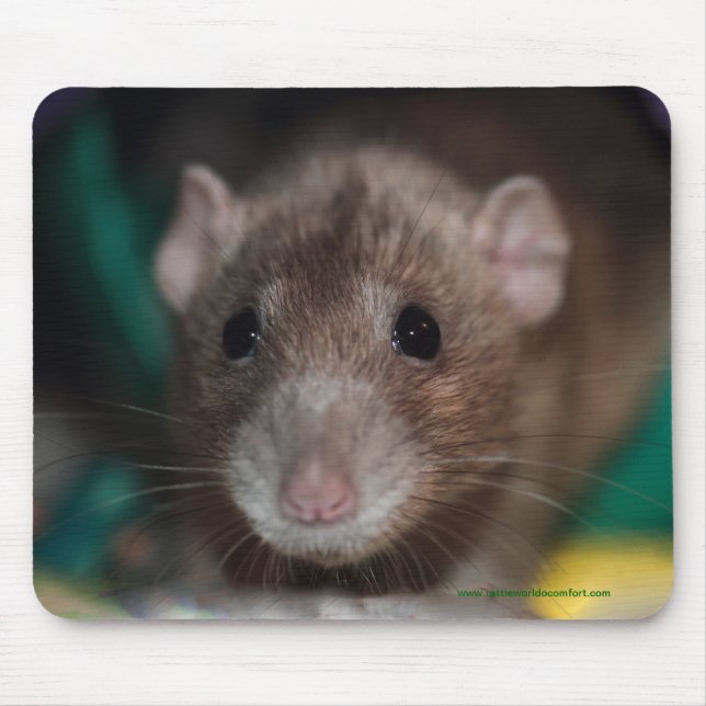 Dumbo finareråtta Mousepad Musmatta (Framsidan)