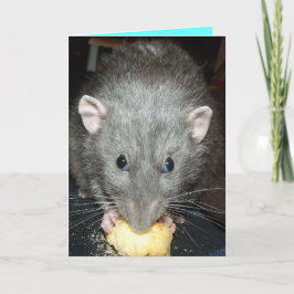dumbo råtta ätkaka Birthday-kort Kort