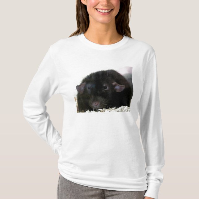 Dumbo råtta t-shirt (Framsida)