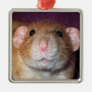 Dumbo-rattdekoration Julgransprydnad Metall