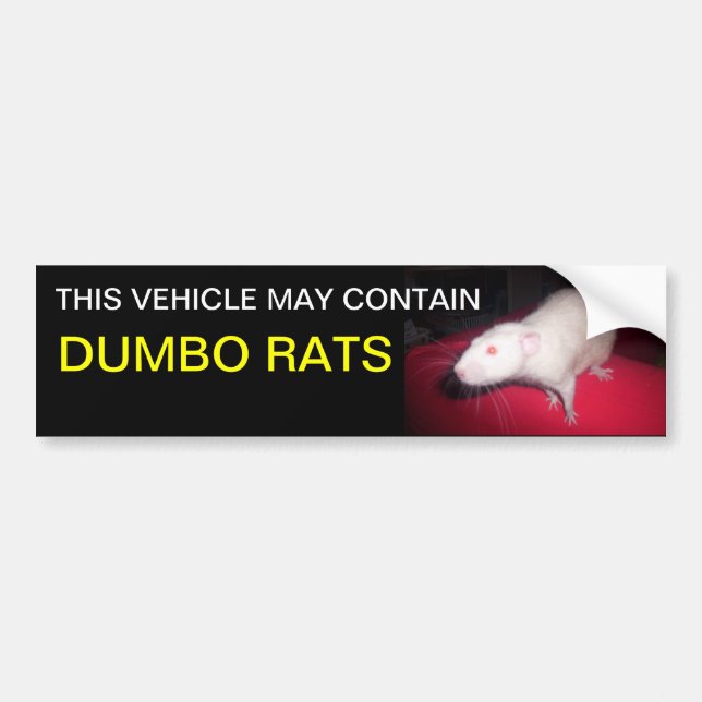 Dumbo råttor-stötfångare bildekal (Framsidan)