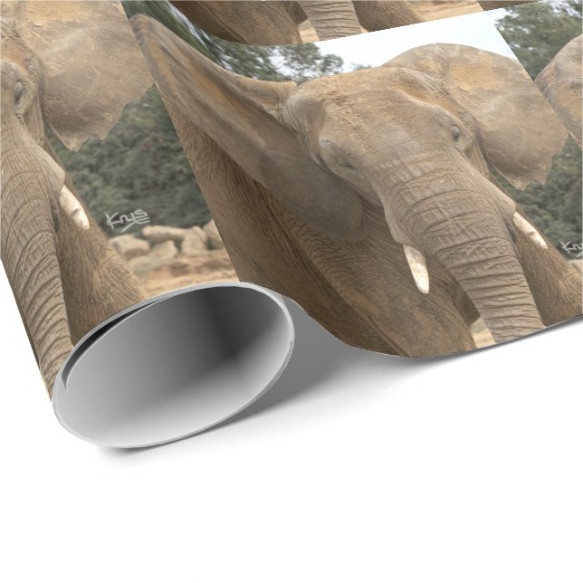 Dumbo som slår in papper presentpapper (Rullad Hörn)