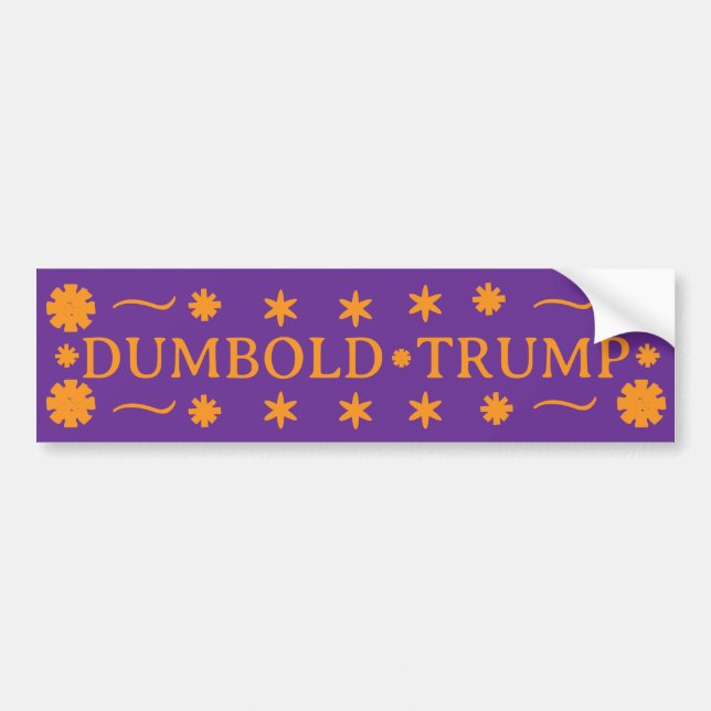 DUMBOLD TRUMP -  BILDEKAL (Framsidan)