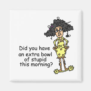 Dumhet Humor Magnet
