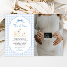 Dumma gås blå Gingham Anka Bebis Duscha Foto