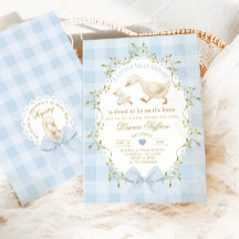 Dumma gås blå gingham babypojke shower