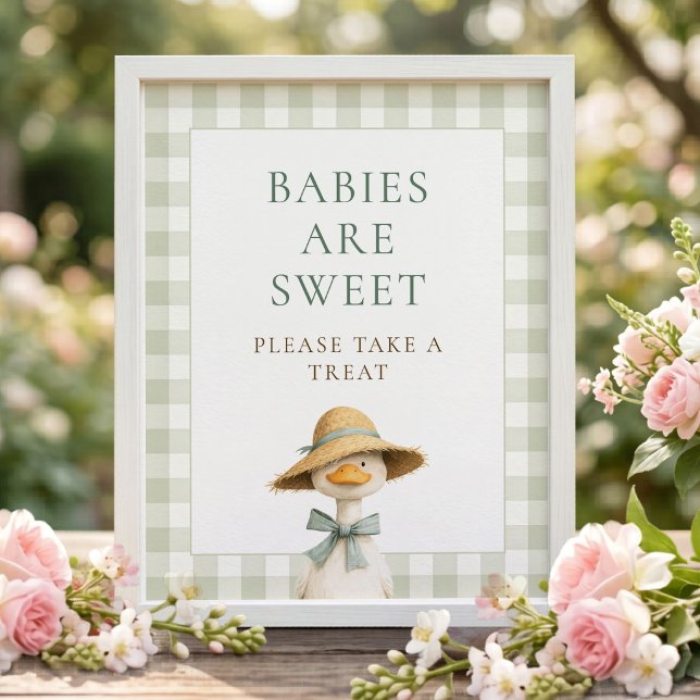 Dumma gås gingham ta present baby shower skylt (Skapare uppladdad)