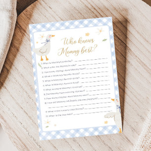 Dumma Gås Randig Baby Shower Vem vet spel