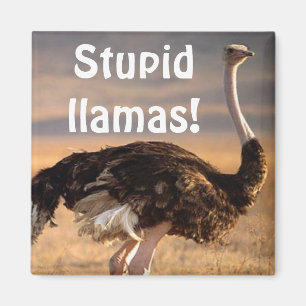 Dumma llamas! magnet