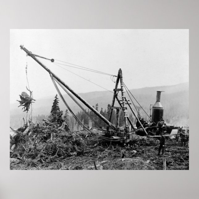 Dumpa: 1913 poster (Framsidan)