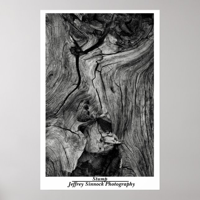 Dumpa Poster (Framsidan)