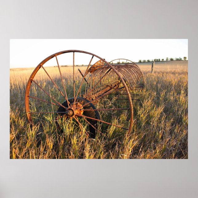 Dumpa rake poster (Framsidan)