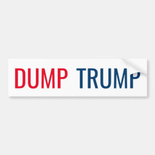 DUMPA TRUMF BILDEKAL