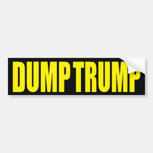 "DUMPA TRUMF", BILDEKAL