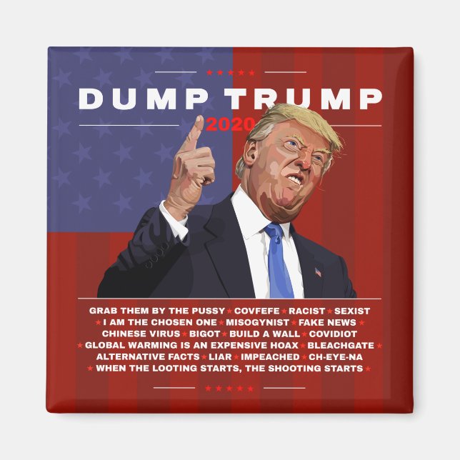 Dumpa Trump 2020-illustration Magnet (Framsidan)