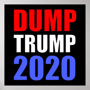 Dumpa trumpen 2020 poster