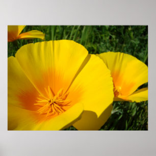 Dumpningsblommor 4 konstutskrifter från OFFICE ART Poster