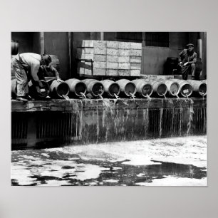 DUMPNINGSFÖRBJUDET KEG-NÖTKÖTT POSTER