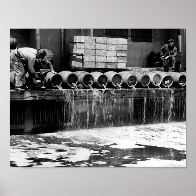 DUMPNINGSFÖRBJUDET KEG-NÖTKÖTT POSTER (Framsidan)