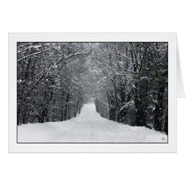 Dumprun Snowstorm Hälsningskort (Framsidan Horizontal)