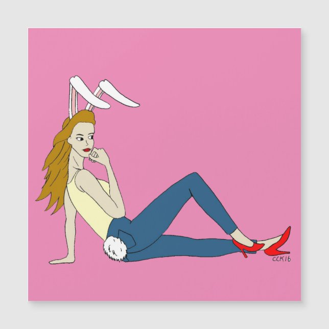 dumskalle (Framsida)