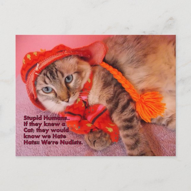 dumt humor-vykort vykort (Framsida)