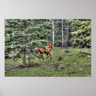 Dun Ranch Horse Cantering i Forest Equine Photo Poster
