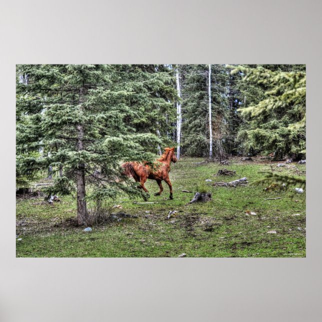 Dun Ranch Horse Cantering i Forest Equine Photo Poster (Framsidan)