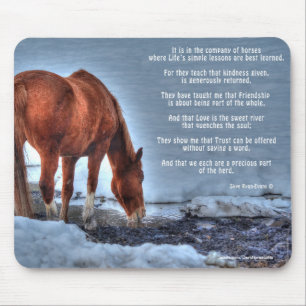Dun Ranch Horse Drinking vid Bassäng Equine Photo Musmatta
