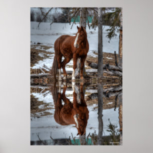 Dun Ranch Horse vid förtäring av hästfoto från Hål Poster