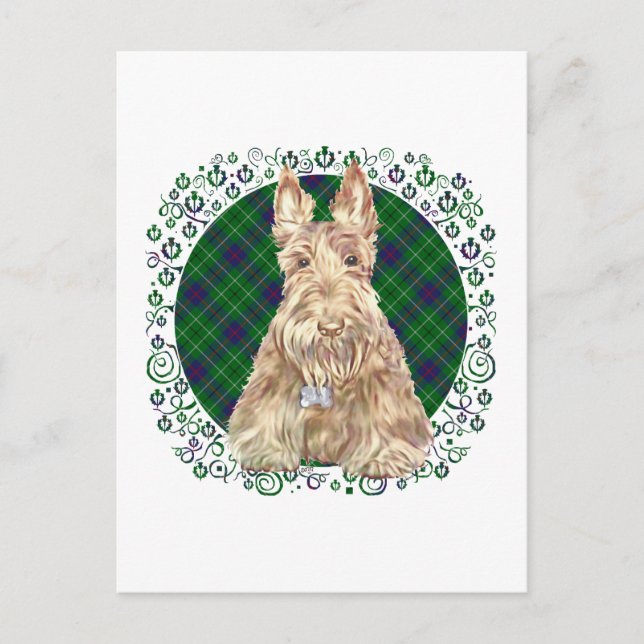Duncan Tartan Scottie Vykort (Framsida)