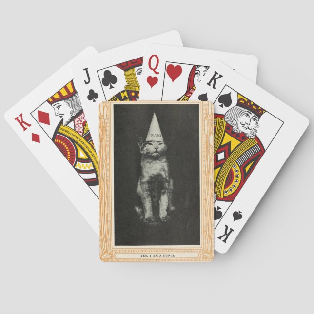 Dunce cat-kort casinokort (Baksidan)