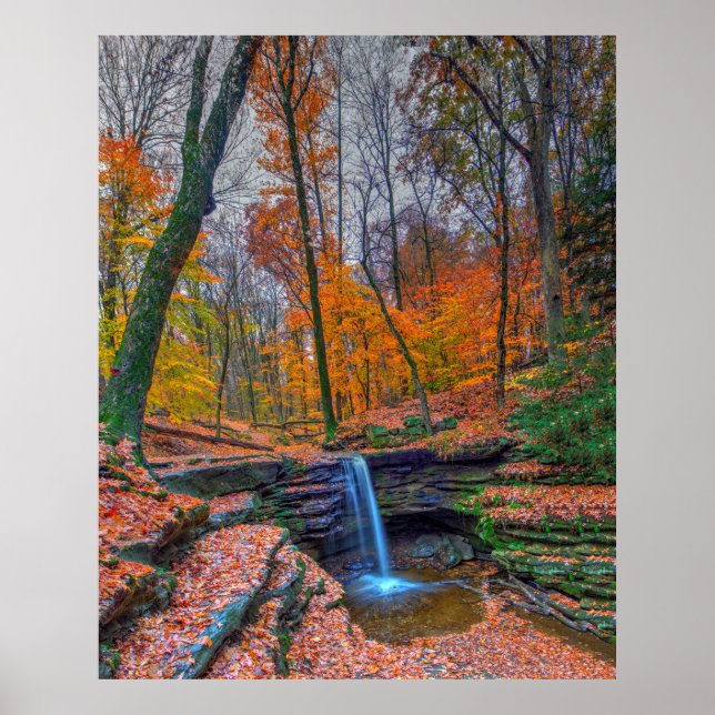 Dundee Falls in Autumn, Ohio Poster (Framsidan)