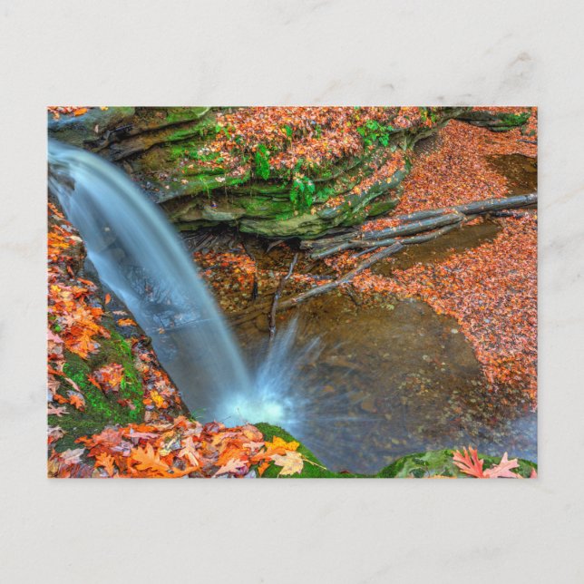 Dundee Falls in Autumn, Ohio Vykort (Framsida)