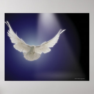 Dundflygning genom ljusstråle poster