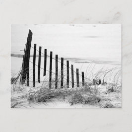 Dune Fence i Snö Vykort